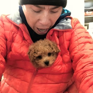 犬友達を募集してます♪