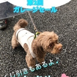 第2回！夏祭りガレージセール開催！