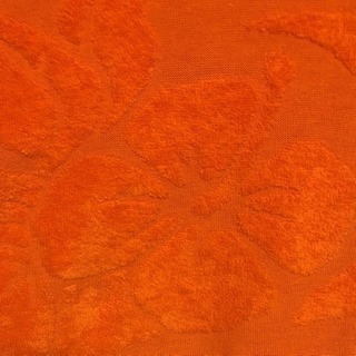 オレンジパーカーの画像