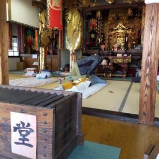 一緒に出店してくださる、メイク師さん募集です！！