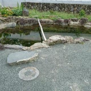 7/29(日)🍗BBQしたい人まだまだ募集中！🍆 − 群馬県