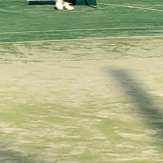 神奈川県海老名市厚木市硬式テニスメンバー募集初中級