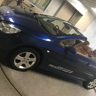プジョー 307ccの画像