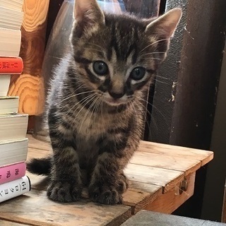 6月16日生まれの子