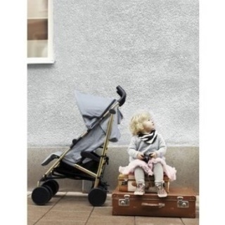 ベビーカー  日本未入荷 スウェーデン王室御用達ブランド