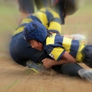 ラグビークエスト！挑戦者(勇者)募集中。の画像