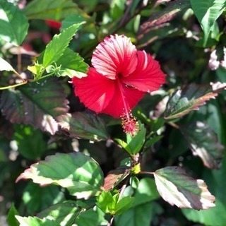 急募‼︎一緒に働きませんか(^^)