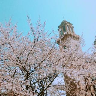 緊急必見、ゲストハウススタッフ募集‼️の画像
