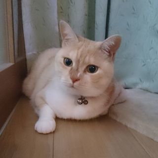 ☆