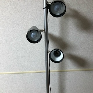 ローソファー&間接照明の画像