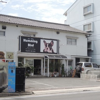 犬小屋の清掃・子犬の世話などの軽作業　日曜日のスタッフ募集