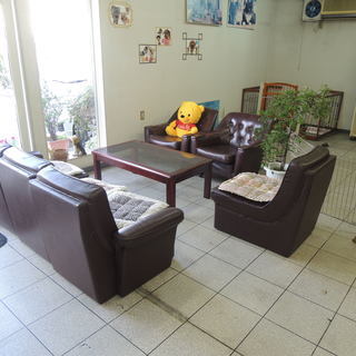 犬小屋の清掃・子犬の世話などの軽作業　日曜日のスタッフ募集の画像