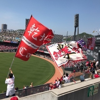 カープ対ヤクルト８月8日一緒に応援しに行ける人募集