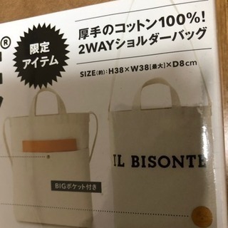 🌟レアなイルビゾンテ ショルダーバッグの画像