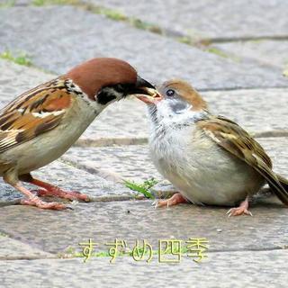 メールから友達募集です