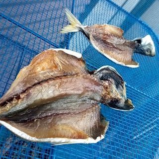 Discordで沖釣りの情報交換をしましょう