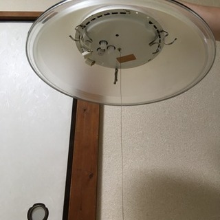 電気の傘あげますの画像