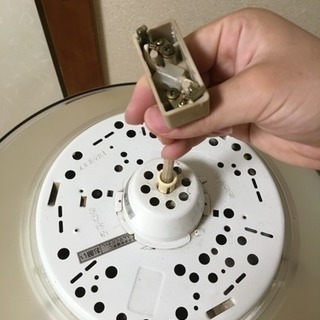 電気の傘あげますの画像