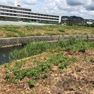 【簡単・軽作業】愛知/幸田町  川辺の草刈りのお手伝い募集！の画像