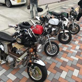 4miniツーリング仲間募集！！の画像