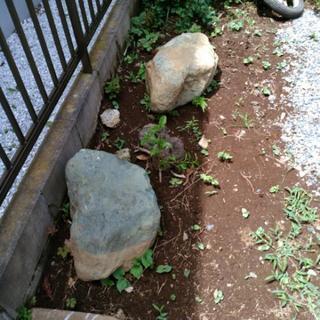 庭石差し上げます！無料引き取りのみの画像
