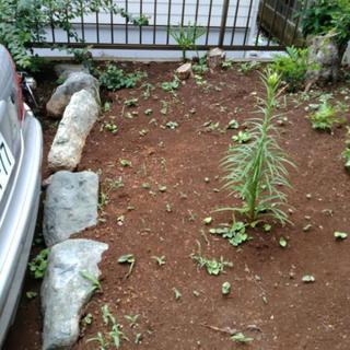 庭石差し上げます！無料引き取りのみの画像