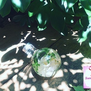 夏休み始まりました‼️今年の夏はハーバリウムにしませんか❓の画像