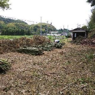 竹林伐採・雑木林伐採・草刈10㎡1万円より！ - 糸島市