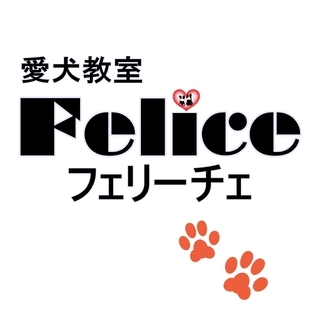 【単発・日払い】 子犬の世話の手伝い、清掃、雑用、簡単な接客　
