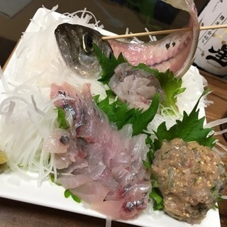 【釣り友達募集】