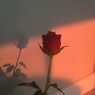♡お友達募集してます♡