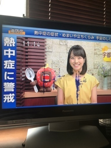 【2019.05.24迄】テレビ