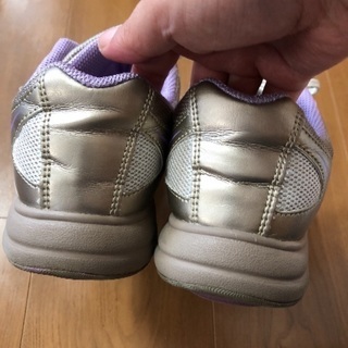 23センチの画像
