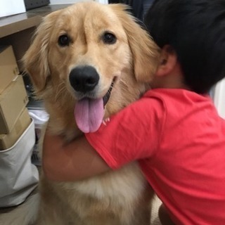 犬友さがしてます。 − 埼玉県