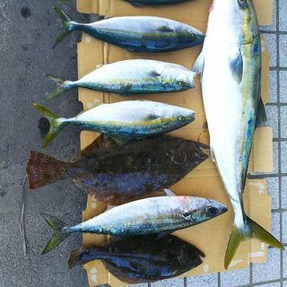 釣り仲間募集 - 石巻市