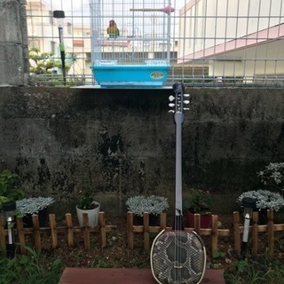 六弦三線 6弦 三線