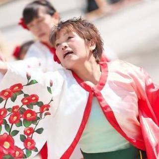 よさこい一緒に楽しもう🎵 - メンバー募集