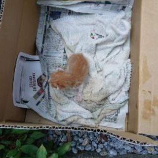 皆さま、ご協力有り難うございました。