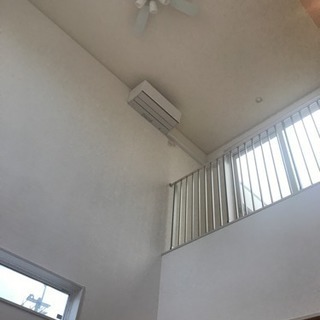はしごが欲しい