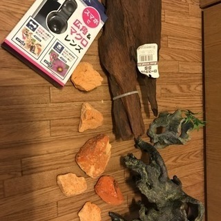 水槽レイアウトセットの画像