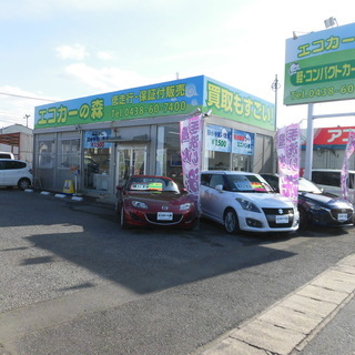 車の洗車やりませんか？？子育て真っ最中のママ、主婦、副業、空いた...