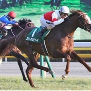 競馬好きな仲間募集です！