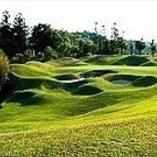 急募！！　9月4日（火）　Golfラウンド出来る人♪ - スポーツ