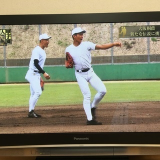 42型ビエラ プラズマテレビ [引越しのため8/12or13引取限定]の画像