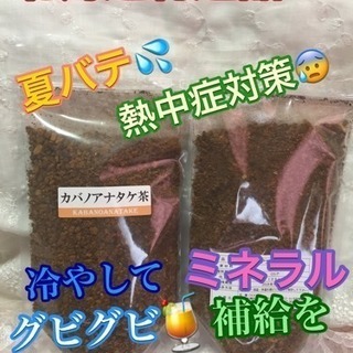 北海道特選品 カバ茶 チャーガ 熱中症対策　夏バテ　ミネラル補給...
