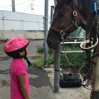 乗馬仲間を募集してます。 - 石橋