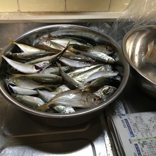 釣り友募集 四国4県の方 2018 - メンバー募集