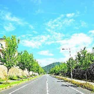 千葉県民友達募集！！(引っ越してきました)