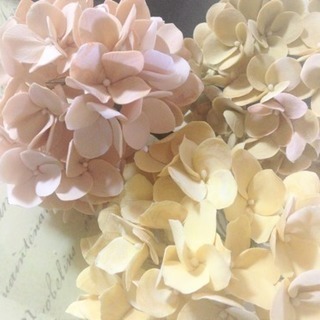 ソフト粘土（クレイクラフト）体験レッスンの画像