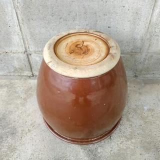レトロな「かめ｣の画像